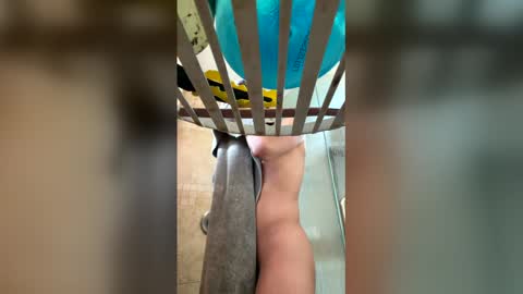 Snapshot of manny764065 chatting on 02-07-26, 01:26 manny764065 online show from 02-07-26, 01:26