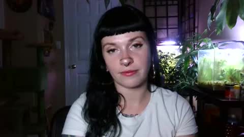 Snapshot of marcelinealtaria chatting on 12-29-24, 04:05 MarcelineAltaria online show from 12-29-24, 04:05