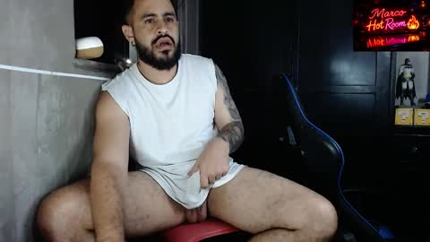 Snapshot of marco_aure chatting on 05-20-26, 12:17 marco_aure online show from 05-20-26, 12:17
