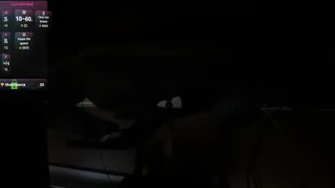 Marco Polo online show from 10-07-25, 08:39