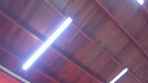 maria_turner1 online show from 02-09-26, 12:20