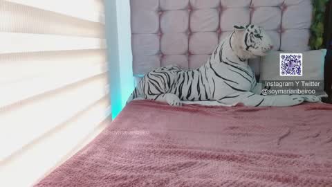 mariaribeiro online show from 01-07-26, 07:49