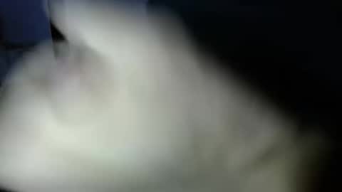 mark_270 online show from 04-03-26, 06:06