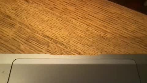 marklondonguy2023 online show from 11-27-25, 09:22