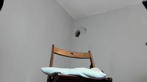 MARK online show from 10-16-25, 12:06