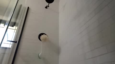 Zorro online show from 12-20-24, 05:08