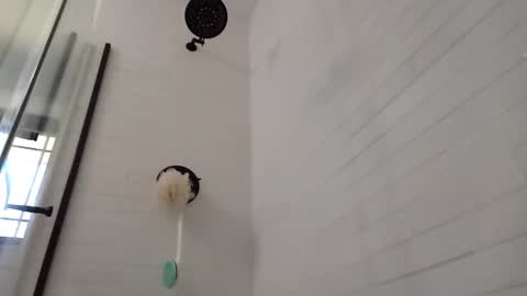 Zorro online show from 02-28-25, 05:37