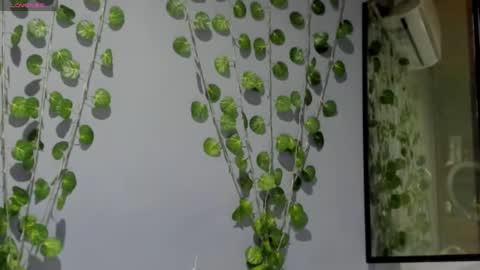 marly online show from 02-26-25, 03:10