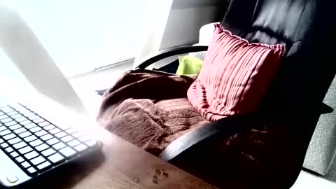 Snapshot of maskime59 chatting on 12-09-24, 09:06 maskime59 online show from 12-09-24, 09:06