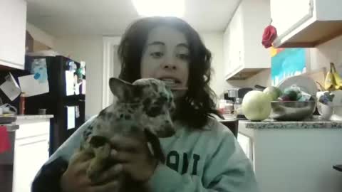 Mastress Luna online show from 11-21-25, 09:24