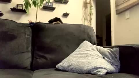 masturbationsession69 online show from 01-08-26, 06:37