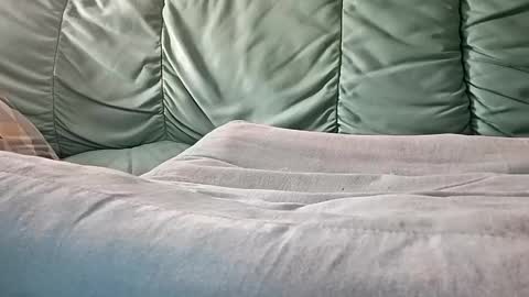 Snapshot of mathisdavid6757 chatting on 11-09-25, 08:56 mathisdavid6757 online show from 11-09-25, 08:56