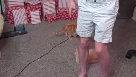 Snapshot of mattcashxxx chatting on 12-26-24, 02:12 Matt Cash online show from 12-26-24, 02:12