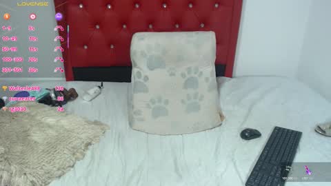 mature2023 online show from 11-25-25, 09:48