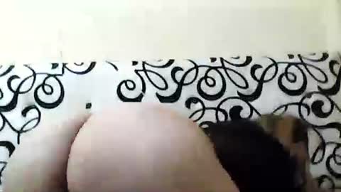 mature_sweet3827 online show from 12-06-24, 05:53