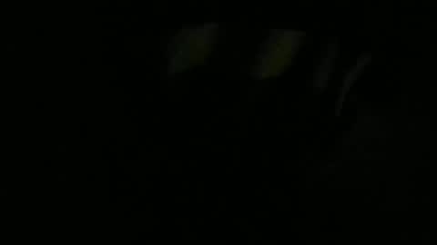 Snapshot of mau_lira chatting on 01-13-26, 11:04 Lira online show from 01-13-26, 11:04