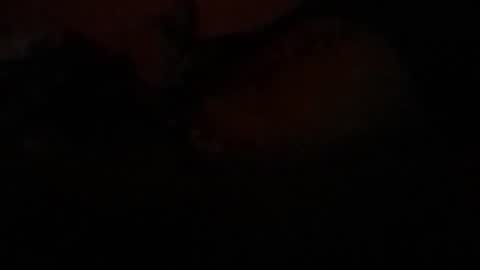 Lira online show from 02-23-26, 07:39