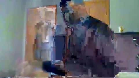 mauricescott online show from 04-11-26, 08:13