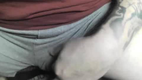 Snapshot of max_gv chatting on 10-12-25, 04:28 max_gv online show from 10-12-25, 04:28