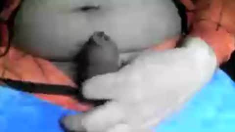 Snapshot of max_gv chatting on 06-19-26, 08:29 max_gv online show from 06-19-26, 08:29