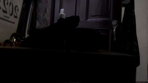 Snapshot of maximotorricelli chatting on 01-03-25, 09:47 maximotorricelli online show from 01-03-25, 09:47