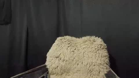 Max online show from 01-07-25, 11:16