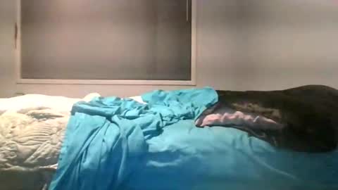 Max online show from 06-04-26, 02:28
