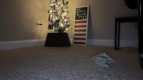 Snapshot of maxx276828 chatting on 11-22-25, 04:44 maxx276828 online show from 11-22-25, 04:44