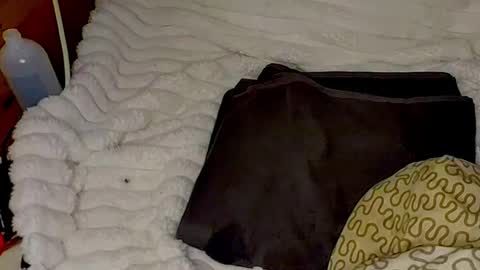 maybeanal online show from 10-30-25, 02:02