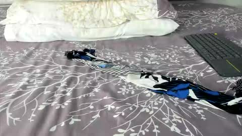 Maybelline69 online show from 03-02-26, 08:26