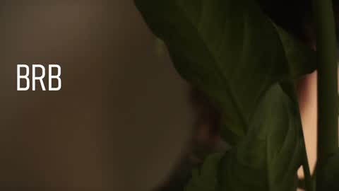 Snapshot of maymary_ chatting on 12-28-24, 08:58 Mary . online show from 12-28-24, 08:58