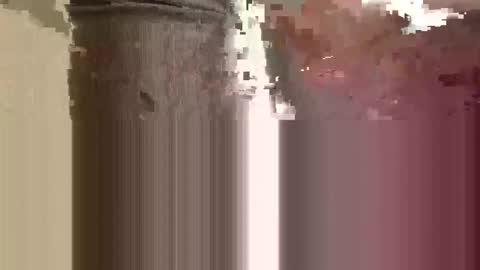 Snapshot of mb99667788 chatting on 02-19-26, 05:09 mb99667788 online show from 02-19-26, 05:09