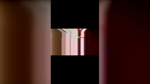 mcgriffwes2 online show from 02-12-26, 02:17