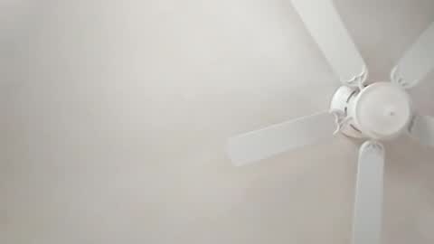 mcwire4 online show from 01-01-25, 05:44