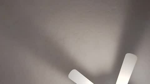 mcwire4 online show from 01-19-25, 08:41