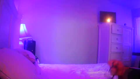 mecrago online show from 01-14-26, 08:09