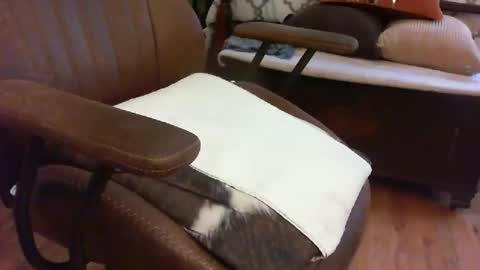 medfirebear online show from 11-28-25, 05:59