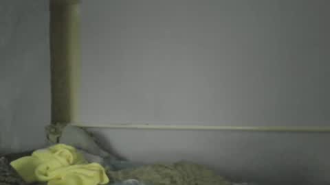 Snapshot of medjik_lool chatting on 12-30-24, 01:14 Oltereodora-lima online show from 12-30-24, 01:14