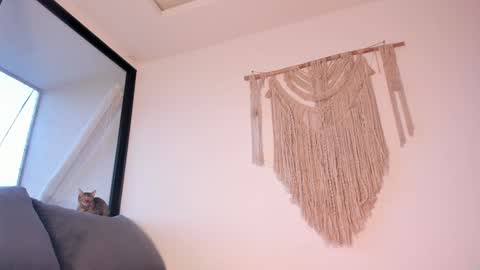 megan online show from 01-03-25, 10:51