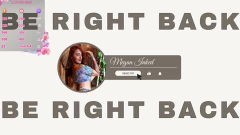    online show from 01-11-26, 02:27