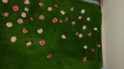 Snapshot of megatitts_ chatting on 04-01-26, 01:41 megatitts_ online show from 04-01-26, 01:41