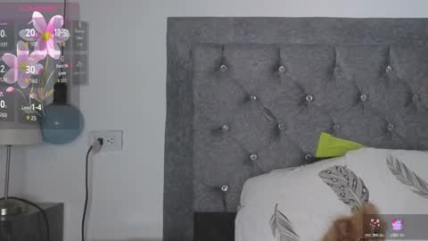 Meghan  online show from 02-24-26, 08:51