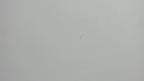 Melani  online show from 02-26-25, 08:33