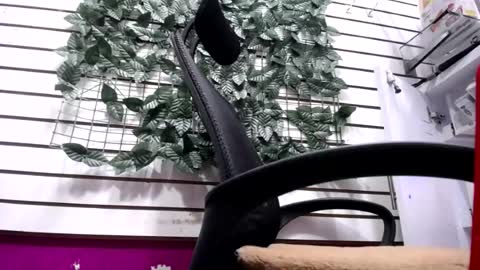 Snapshot of melishanton chatting on 05-16-26, 04:28 melishanton online show from 05-16-26, 04:28