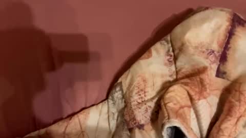 melissa9040 online show from 02-09-26, 11:20