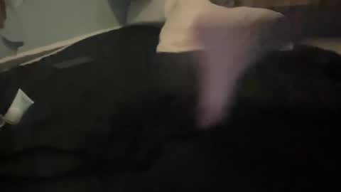 melt13 online show from 10-13-25, 12:05