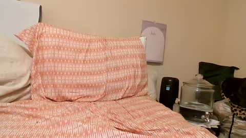 Snapshot of melxiss chatting on 09-13-25, 06:51 melxiss online show from 09-13-25, 06:51