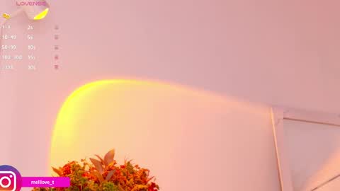 Melissa online show from 01-14-25, 03:53