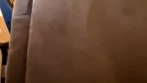 DutchFun Cock online show from 01-06-26, 04:32