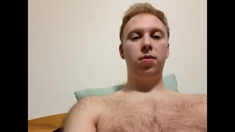 meow732 online show from 10-25-25, 12:51